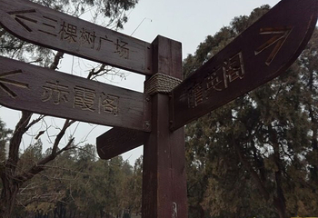 英雄山第 12 张图片