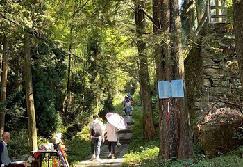 庐山含鄱口索道第 14 张图片