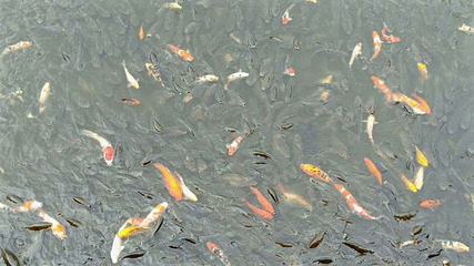 水云涧温泉旅游度假区第 18 张图片