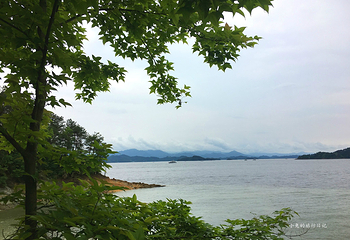 龙山岛第 21 张图片