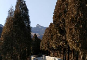 四门塔-涌泉竹林第 14 张图片