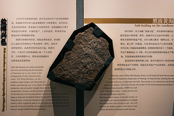 南通博物苑第 50 张图片