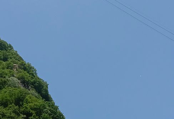 太平国家森林公园第 110 张图片