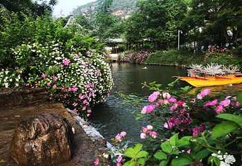 保府大院第 41 张图片