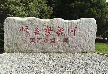 黄河湿地生态公园第 8 张图片