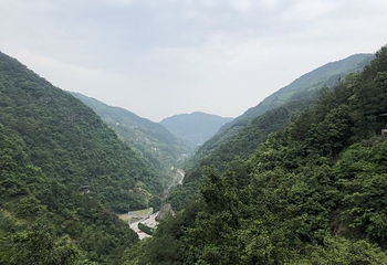香榧森林公园第 36 张图片