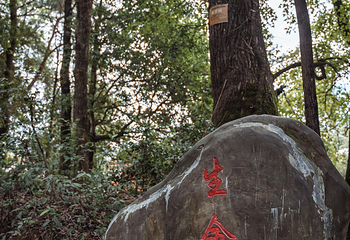 岜沙苗寨第 44 张图片
