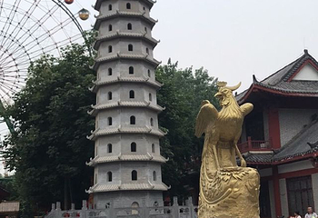 神州鸟园第 32 张图片