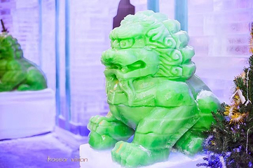 极地冰雪世界第 20 张图片