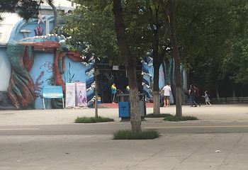 石家庄极地海洋世界第 34 张图片