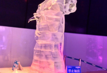 侏罗纪冰雪乐园(横岗店)第 36 张图片