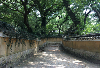 慧济禅寺第 36 张图片