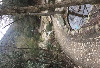 神龙川风景区第 52 张图片