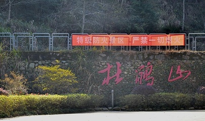 杜鹃山第 9 张图片