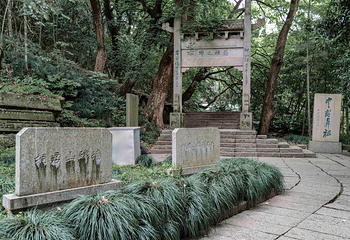 桐君山第 75 张图片