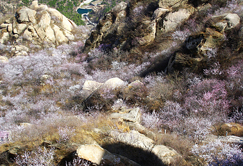 北京凤凰岭景区第 39 张图片