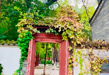 小雁塔遗址公园第 100 张图片