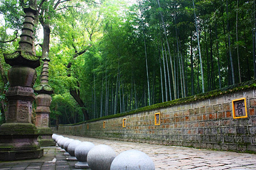 天童禅寺第 31 张图片