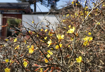 北海公园第 76 张图片