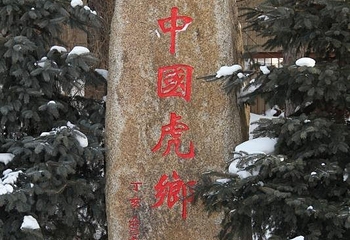 横道河子东北虎林园第 61 张图片