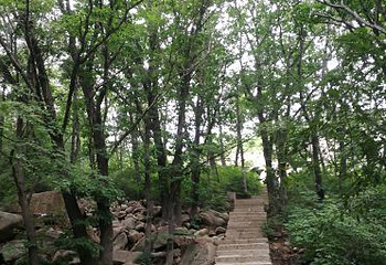 祖山风景区第 47 张图片