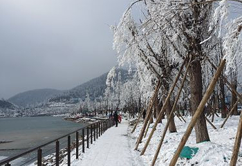 南天湖景区第 82 张图片