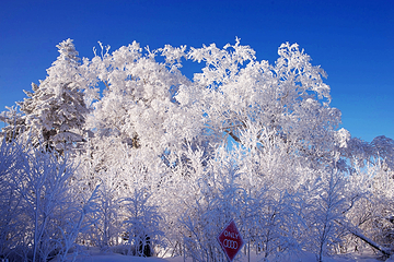 丝绸之路山地度假区滑雪场第 56 张图片