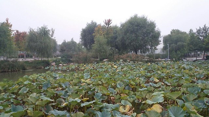 清水湾·乐汤汇都市温泉度假中心(北二环店)第 16 张图片