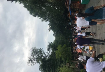 黄龙溪蝴蝶迎新主题园第 19 张图片