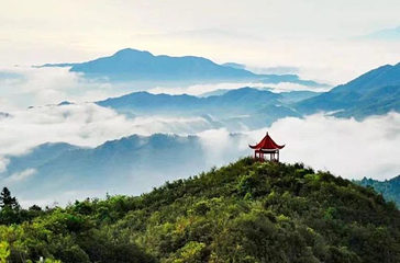 阳明山国家森林公园第 8 张图片