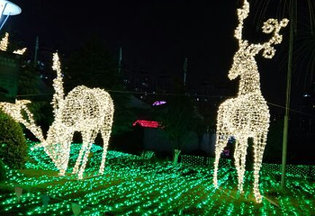 徽园灯展第 29 张图片