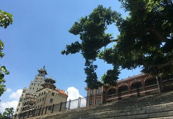 集美大学第 12 张图片