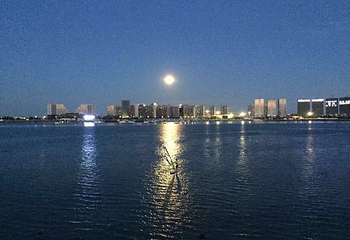 风和水航海会第 12 张图片
