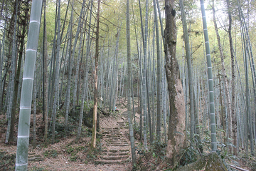 宁德南山漈风景区第 25 张图片
