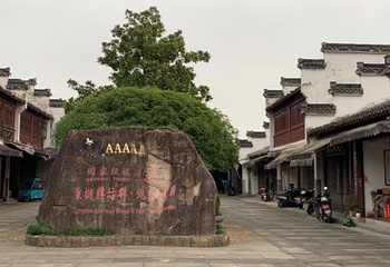 棠樾牌坊群鲍家花园第 28 张图片