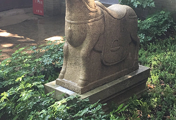 五仙观第 19 张图片