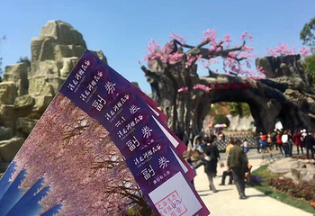 浔龙河樱花谷第 16 张图片