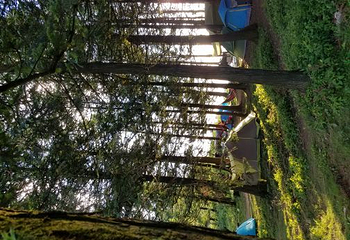 重庆千野草场景区第 27 张图片