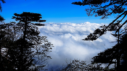 苍山第 211 张图片