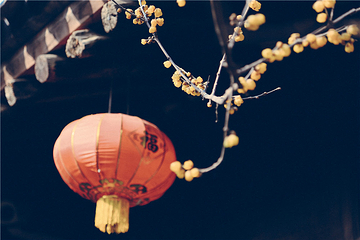 南宅子第 15 张图片