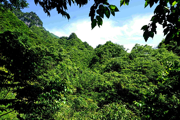 松柏风景区第 5 张图片