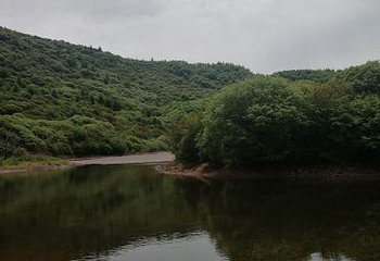 朝那湫景区第 18 张图片