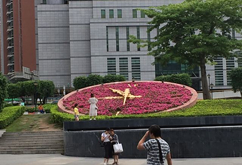深圳罗湖口岸第 101 张图片