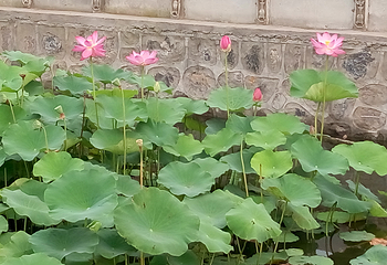 汇馨芳香世界第 11 张图片