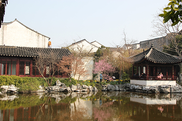 艺圃第 62 张图片