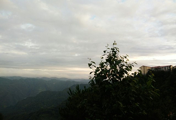 苏马荡景区第 14 张图片