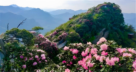 汉中龙头山国际旅游度假区第 37 张图片