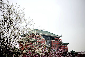 华南农业大学第 22 张图片