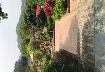 百岁泉第 18 张图片