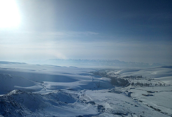 湿地古杨风景区第 10 张图片